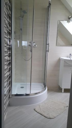 a glass shower in a bathroom with a sink at Willa Orle Gniazdo in Biały Kościół