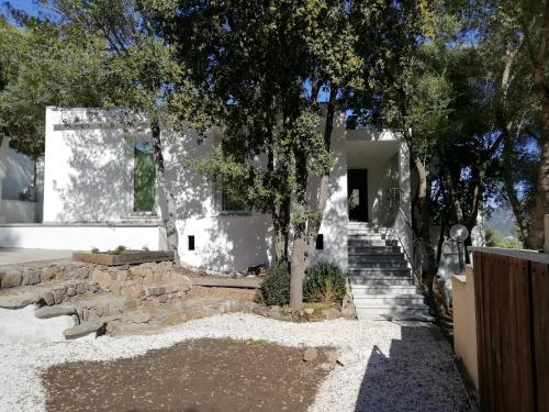 Φωτογραφία από το άλμπουμ του In campagna da Nino στην Όλμπια