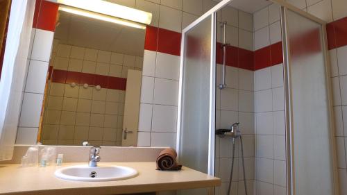 y baño con lavabo y ducha. en VVF Le Lioran Les Monts du Cantal, en Saint-Jacques-des-Blats