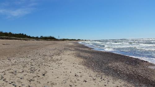 ein Sandstrand mit dem Meer im Hintergrund in der Unterkunft Laimingas Uodas in Šventoji