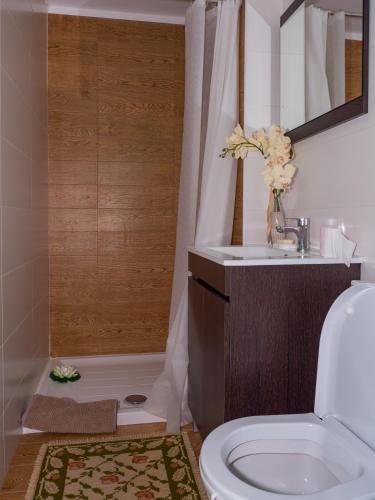 a bathroom with a toilet and a sink and a shower at Quintinha de Labrujó in Ponte de Lima
