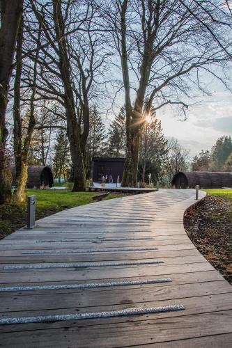 a wooden path in a park with trees at Domaine Des Hautes Fagnes in Ovifat