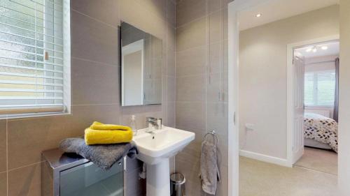 a bathroom with a sink and a mirror at Bracdy Cottage in Llandyrnog