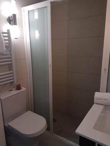 a bathroom with a toilet and a glass shower at Vivenda da Eva in Arcos de Valdevez