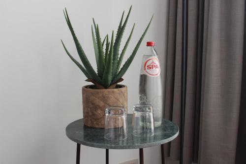 een tafel met een potplant en een colafles bij CITYSTAY in Antwerpen