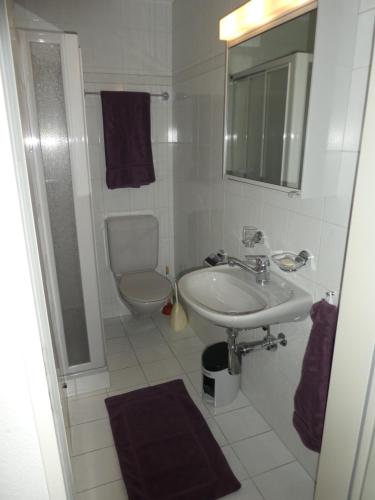 Baño blanco con lavabo y aseo en Residence Kastanienbaum en Lucerna