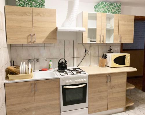 a kitchen with a stove and a sink and a microwave at Agroturystyka Falinka in Wiżajny