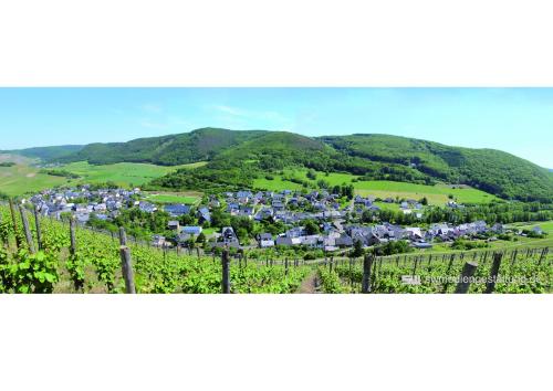 uma cidade numa vinha com um monte de vinhas em 19 Im Herrenfeld em Burgen