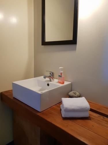 ein Badezimmer mit einem weißen Waschbecken und einem Spiegel in der Unterkunft Awastone in Mangaweka