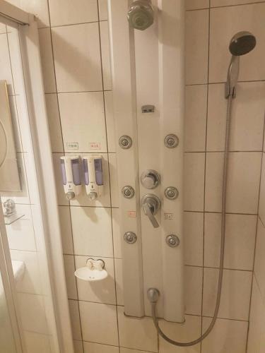 a shower in a bathroom with a shower at Ming Yang B&B in Fenchihu