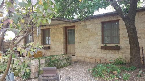 a stone house with a tree in front of it at Hemdatya Stone Suites In The Galilee in Ilaniya
