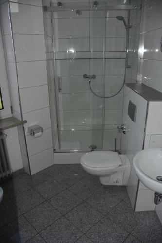 a bathroom with a shower and a toilet and a sink at Alpina home in Rosenheim