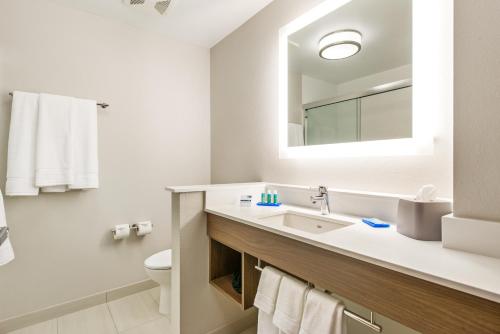 a bathroom with a sink and a toilet and a mirror at Holiday Inn Express & Suites - Carrollton West by IHG in Carrollton