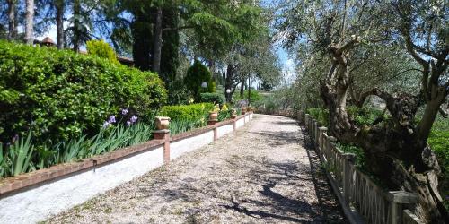 Κήπος έξω από το I Pini House