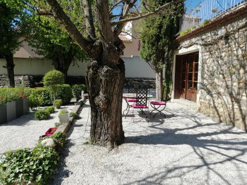 un arbre au milieu d'une cour dans l'établissement Le Jardin, à Laragne