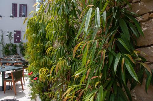 Ein Garten an der Unterkunft S Paul City Hotel