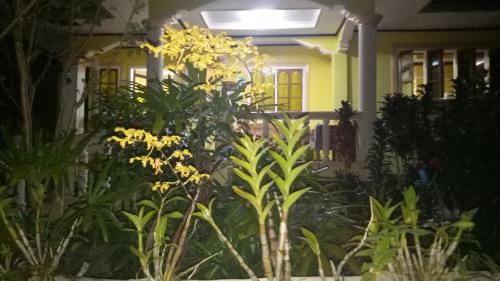 Taman di luar Xylla Guesthouse