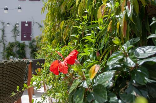 Ein Garten an der Unterkunft S Paul City Hotel