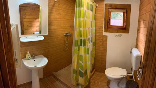 a bathroom with a sink and a toilet and a shower at Casutele Suhardul Mic in Lacu Rosu