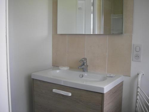 ein Bad mit einem Waschbecken und einem Spiegel in der Unterkunft Les 4 Saisons in Sarlat-la-Canéda