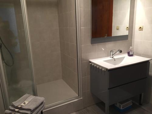 ein Bad mit einer Dusche, einem Waschbecken und einem Spiegel in der Unterkunft l’Atelier in Sélestat