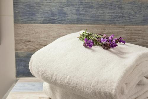 a bunch of purple flowers sitting on top of a towel at Le Neptune & Spa in Propriano