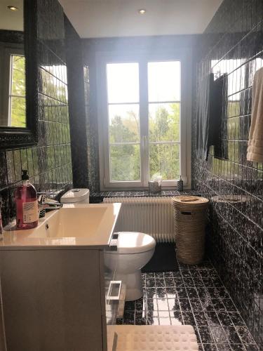 une salle de bain avec des toilettes blanches et un lavabo dans l'établissement La Roseraie, à Sentheim
