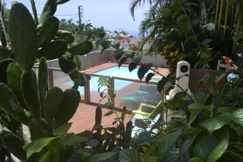 a view of a swimming pool in a yard with plants at an eol caraibes in Trois-Rivières