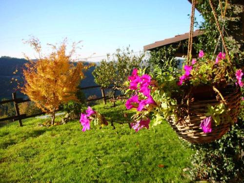 a basket with pink flowers hanging from a fence at Agriturismo Le Piagge in Ponzone