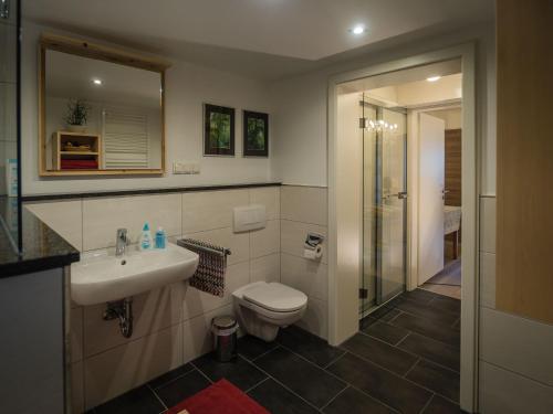 a bathroom with a toilet and a sink and a shower at Antel 42 in Andernach