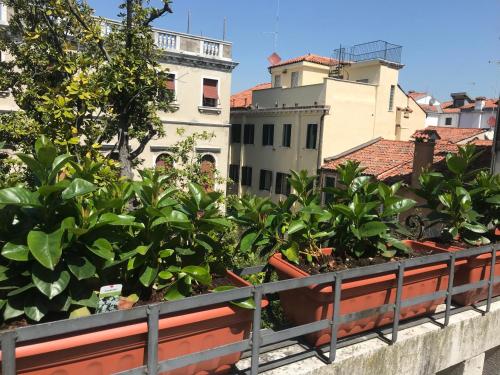Venice Apartments San Samuele photo 86
