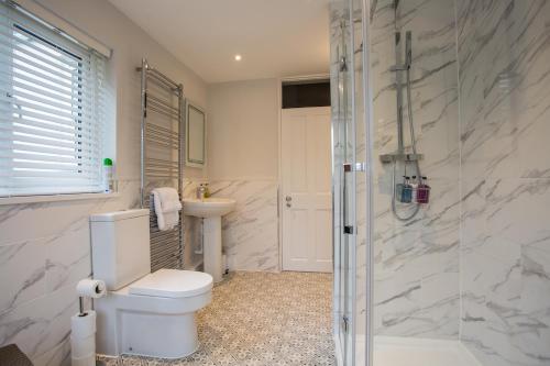 a bathroom with a toilet and a sink and a shower at Number 8 Cheltenham in Cheltenham