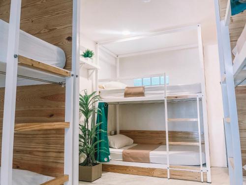 a room with bunk beds in a hostel at Murals Hostel and Cafe in Cebu City