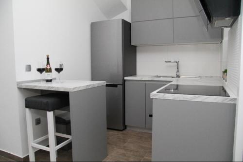 Kuchyň nebo kuchyňský kout v ubytování Apartman Ivana