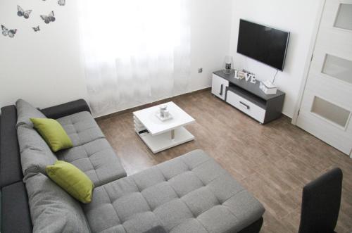 TV a/nebo společenská místnost v ubytování Apartman Ivana