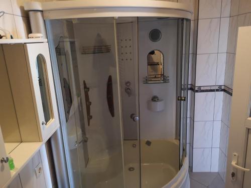 a shower with a glass door in a bathroom at Hotel Derby Orašje in Orašje