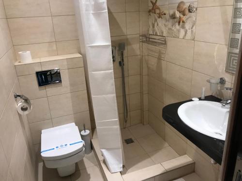 a small bathroom with a toilet and a sink at Золотий ЛЕВ in Zatoka