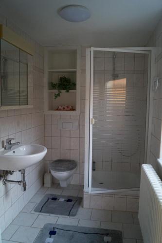 a bathroom with a shower and a sink and a toilet at Ferienhaus Fischer in Kurort Gohrisch