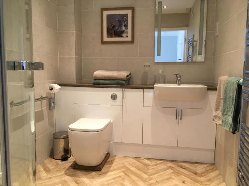 a bathroom with a toilet and a sink at Millbrook in Penistone