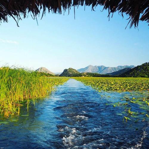 a path through a field of water with mountains in the background at Apartments and spa MIONA in Virpazar
