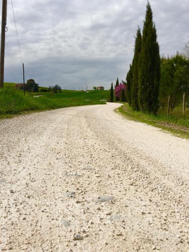 a dirt road with trees on the side of it at Il Girasole Terzuolo in Manciano