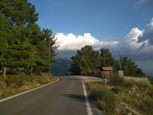 an empty road with trees on the side of the road at Elova in Zátouna