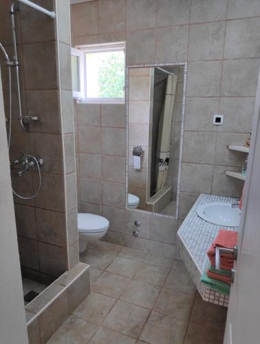 a bathroom with a shower and a toilet and a sink at VILLA PUNTA BLAVA - beach front, ideal for kids, large terraces with sea view, internet, Netflix, no pets allowed, 3Kw EV ch in Obrovac