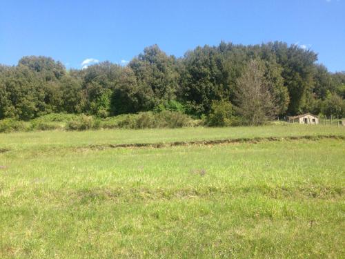 a field of grass with a house in the background at Le Pianelle in Varese Ligure
