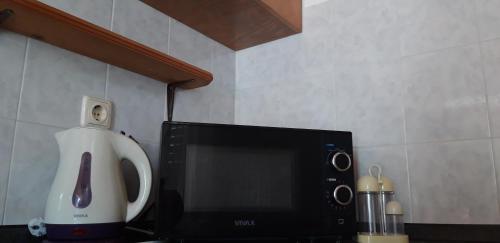 a kitchen counter with a blender and a microwave at Apartments Sponga in Polače