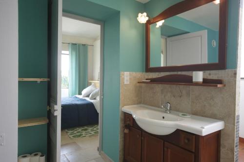 uma casa de banho com um lavatório e um espelho em Petite maison Peyrot em Loubejac