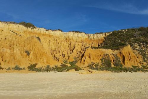 a brown cliff with green plants on it at Casa da Falésia in Melides