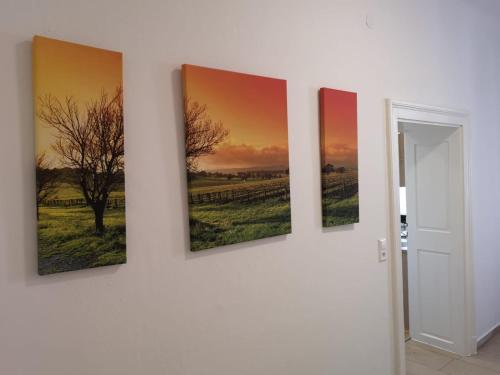 a group of four paintings hanging on a wall at Lilian City Center Studio in Graz