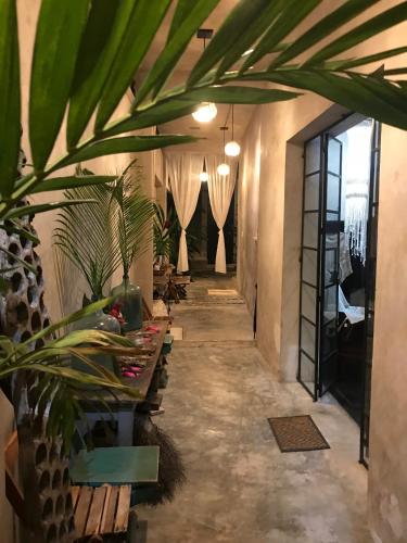 a hallway with tables and plants in a building at La Flor Casa Boutique in Valladolid