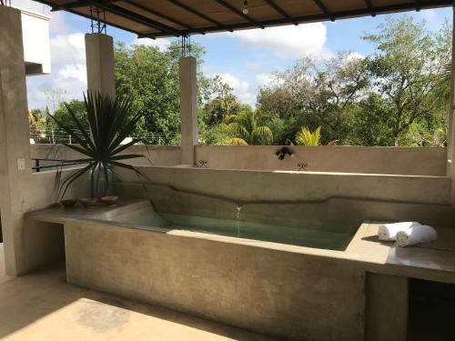 a bathroom with a bath tub with a potted plant at La Flor Casa Boutique in Valladolid